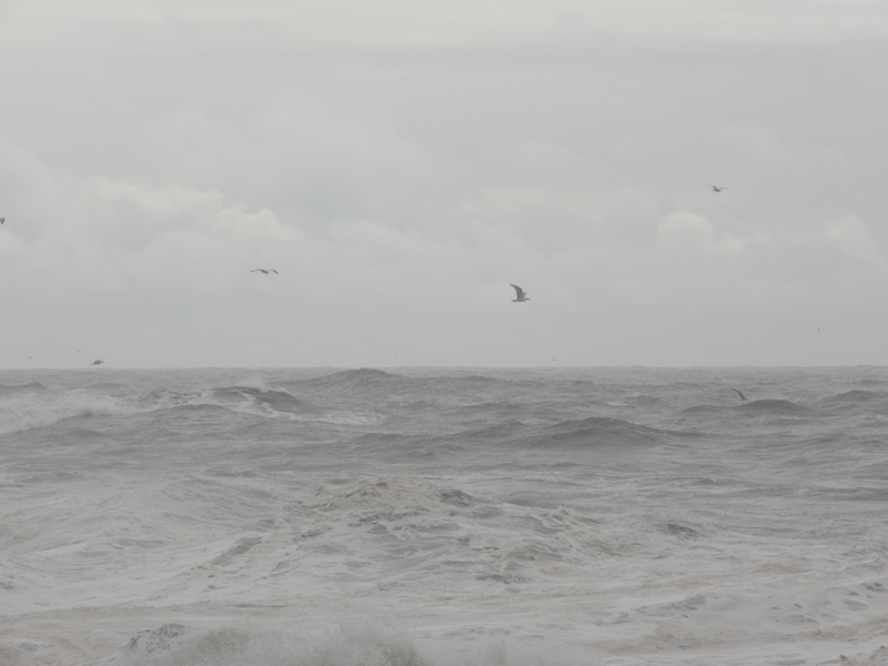 2014-07-02 12-10-08 Reynisfjara_01.JPG