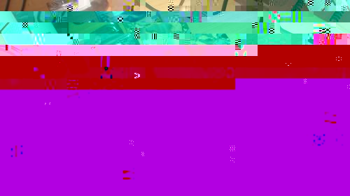 Cimg9093.jpg
